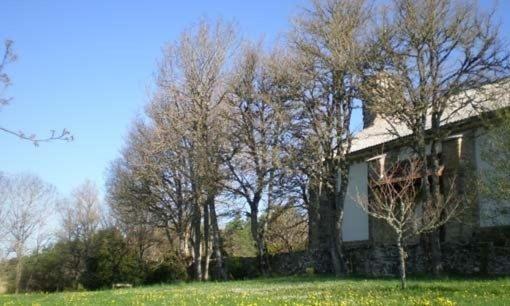 Hostal Casa Sario Jaurrieta Dış mekan fotoğraf